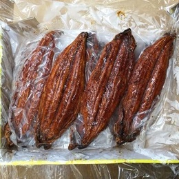 有頭蒲焼うなぎ35尾/10kg