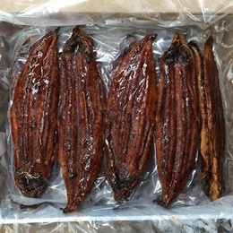 有頭蒲焼うなぎ40尾/10kg