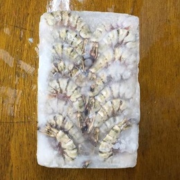 天然シータイガー8/12