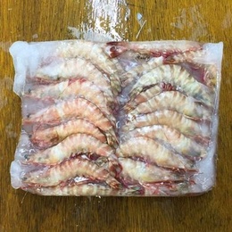 天然有頭シータイガー60尾