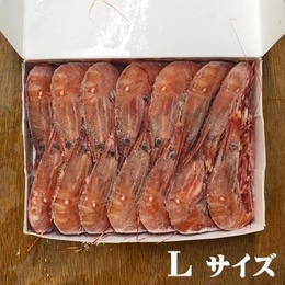 ぼたんえびLサイズ
