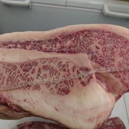 品質良好　九州産トモバラ