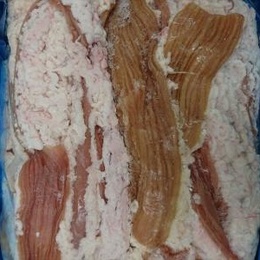 大特価　オーストラリア産牛シマ腸(大腸)(カットサービス有)